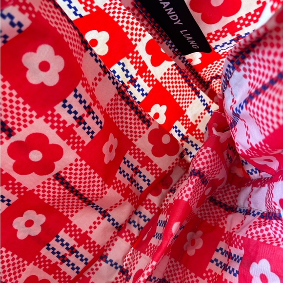 Sandy Liang Baggu Cloud Carry On - Picture 5 of 6